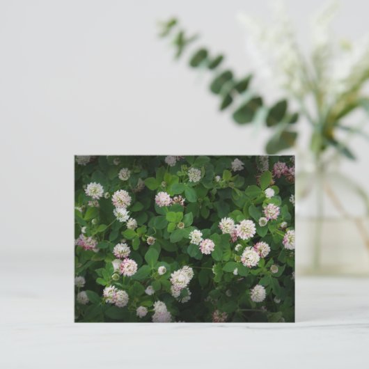 Irish Clovers 4 Leaf Blätter Lucky St Patricks Day Postkarte (Stehend Vorderseite)