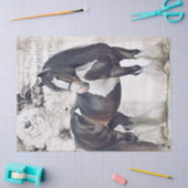 Irish Cob Horse Decoupage Seidenpapier (Basteln)