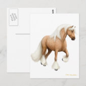 Irish Cob Horse Postcard Postkarte (Vorne/Hinten)