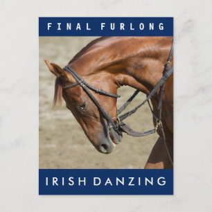Irish Danzing - Oklahoma Training Track Postkarte
