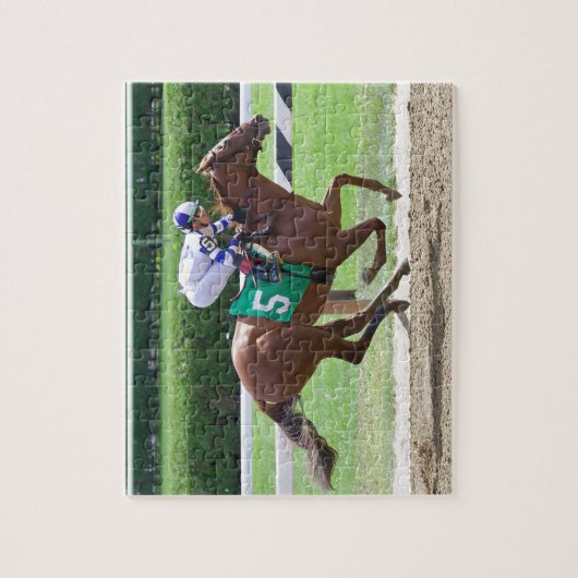 Irish Danzing Winning Puzzle (Vertikal)