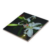 Irish Design-Messing- und Blumenkollektion Fliese (Seite)