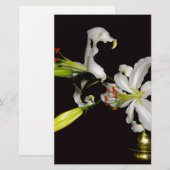 Irish Design - Sammlung von Messing und Blume Briefpapier (Vorne/Hinten)