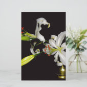 Irish Design - Sammlung von Messing und Blume Briefpapier (Stehend Vorderseite)