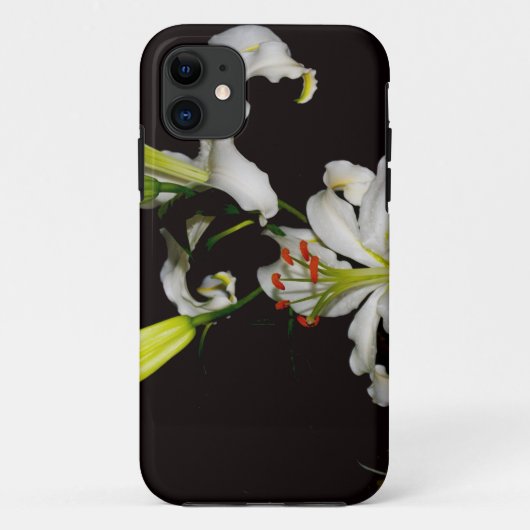 Irish Design - Sammlung von Messing und Blume Case-Mate iPhone Hülle (Rückseite)