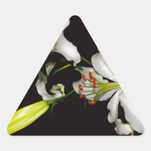 Irish Design - Sammlung von Messing und Blume Dreieckiger Aufkleber