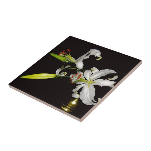 Irish Design - Sammlung von Messing und Blume Fliese (Seite)