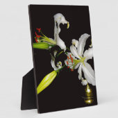 Irish Design - Sammlung von Messing und Blume Fotoplatte (Seite)