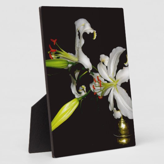 Irish Design - Sammlung von Messing und Blume Fotoplatte (Seite)