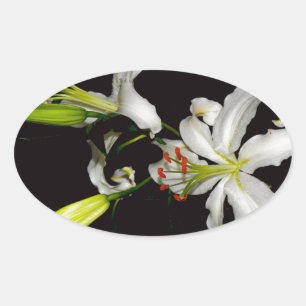 Irish Design - Sammlung von Messing und Blume Ovaler Aufkleber