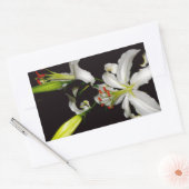 Irish Design - Sammlung von Messing und Blume Rechteckiger Aufkleber (Umschlag)