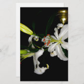 Irish Design - The Blume Collection Briefpapier (Vorne/Hinten)