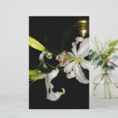 Irish Design - The Blume Collection Briefpapier (Stehend Vorderseite)