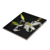 Irish Design - The Blume Collection Fliese (Seite)