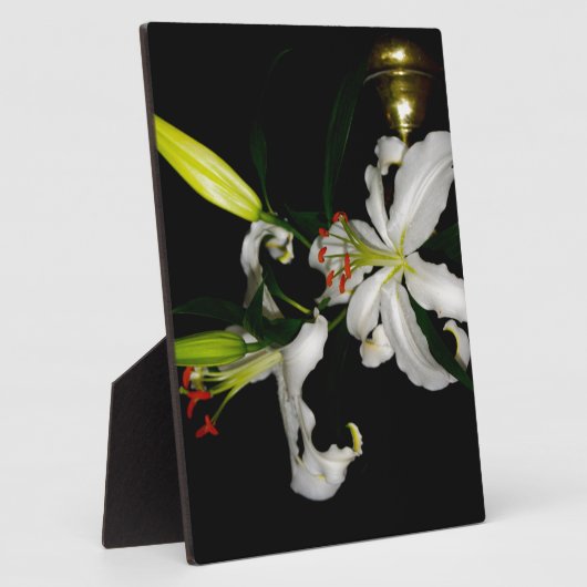 Irish Design - The Blume Collection Fotoplatte (Seite)