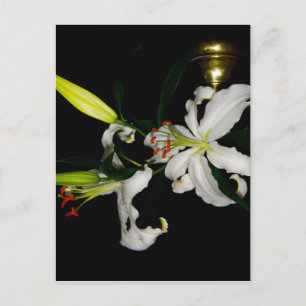 Irish Design - The Blume Collection Postkarte