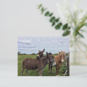 Irish Donkey and Horse, Ireland Postcard Postkarte (Stehend Vorderseite)