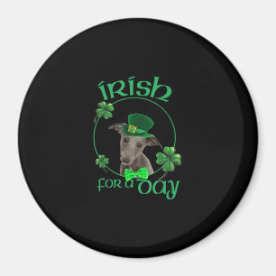 Irish For a day Whippet Lucky Hund in Patrick Day Magnet
