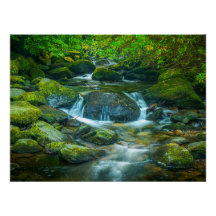 Irish Forest Bach – Smaragdgrünes Waldland-Fotodru