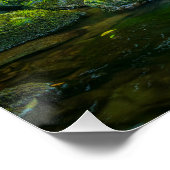 Irish Forest Bach – Smaragdgrünes Waldland-Fotodru Poster (Ecke)