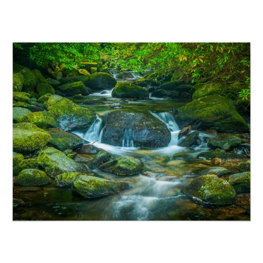 Irish Forest Stream – Emerald Woodland Photo Print Poster (Vorderseite)