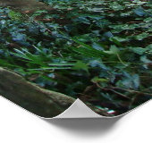 Irish Garden Gate Poster (Ecke)