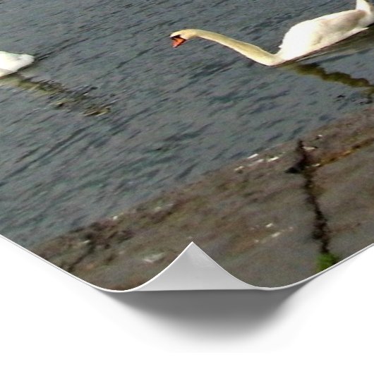 Irish Houses Poster (Ecke)