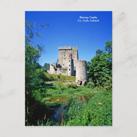 Irish image for postcard postkarte (Vorderseite)