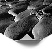 Irish Images for poster (Ecke)