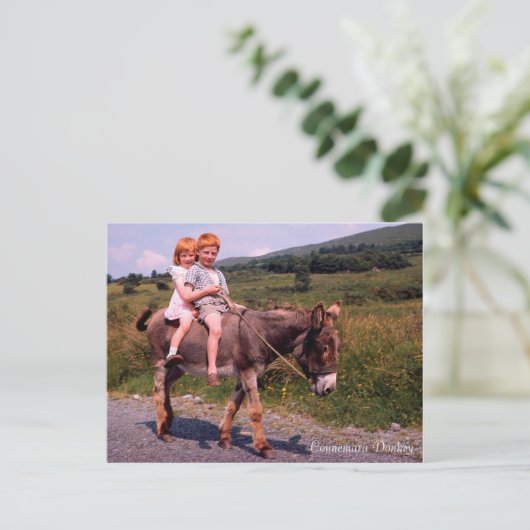 Irish Images Postcard Postkarte (Stehend Vorderseite)