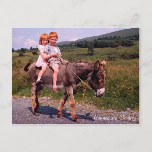 Irish Images Postcard Postkarte