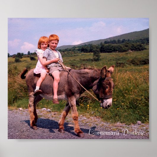 Irish Images poster (Vorne)