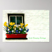 Irish Images Poster (Vorne)