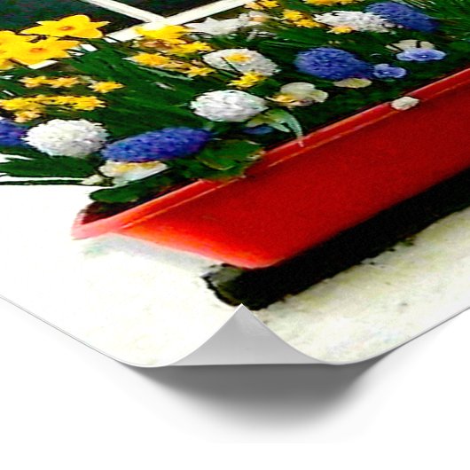 Irish Images Poster (Ecke)