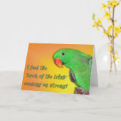 Irish Kiss Karte (Gelbe Blume)