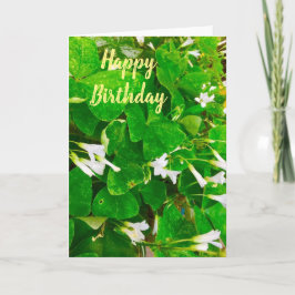 Irish Kleeblatt Birthday Greetings Card Karte