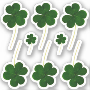 Irish Kleeblatt Green Clovers St. Patrick's Day Aufkleber