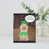 Irish Labrador Sprichwort Postkarte (Stehend Vorderseite)