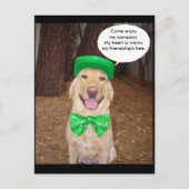 Irish Labrador Sprichwort Postkarte (Vorderseite)