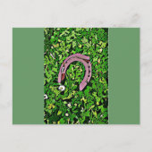 Irish Lucky Horseshoe Postkarte (Vorderseite)