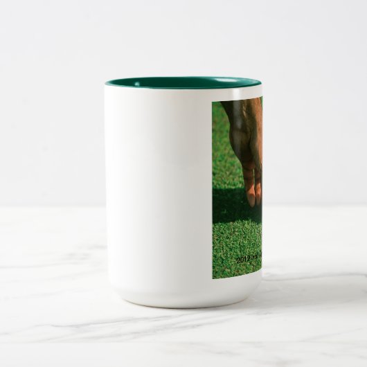 Irish Open Tasse 2012 (Mittel)