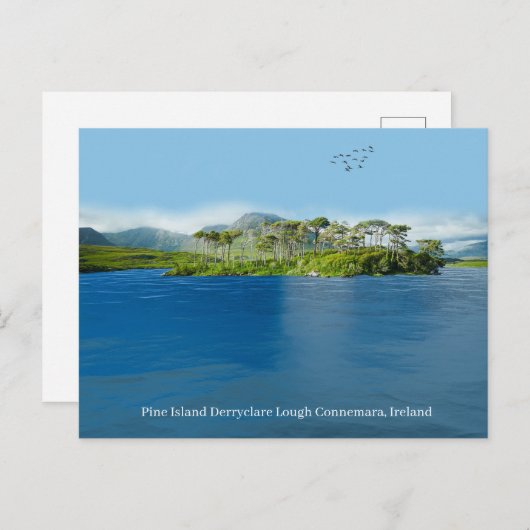 Irish Postcard Postkarte (Vorne/Hinten)