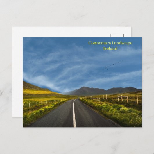 Irish Postcard Postkarte (Vorne/Hinten)