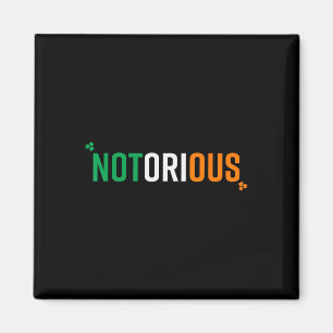 Irish Pride Boxing Mixed Martial Arts kämpfen noto Magnet