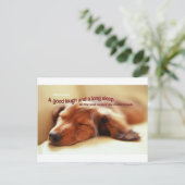 Irish Proverb and Sleeping Dog Postkarte (Stehend Vorderseite)