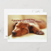 Irish Proverb and Sleeping Dog Postkarte (Vorne/Hinten)