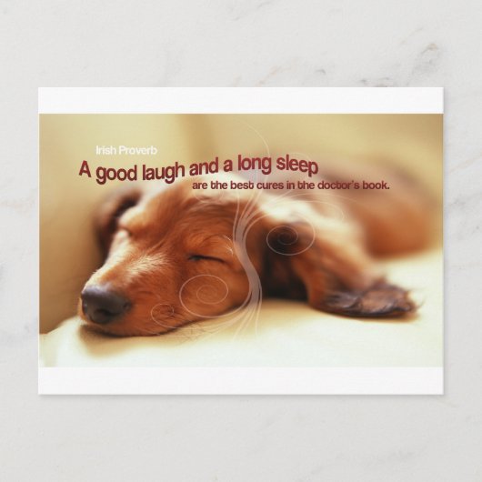 Irish Proverb and Sleeping Dog Postkarte (Vorderseite)