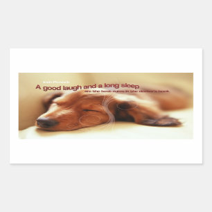 Irish Proverb and Sleeping Dog Rechteckiger Aufkleber