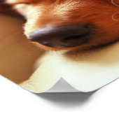 Irish Proverb Sleeping Dog Poster (Ecke)