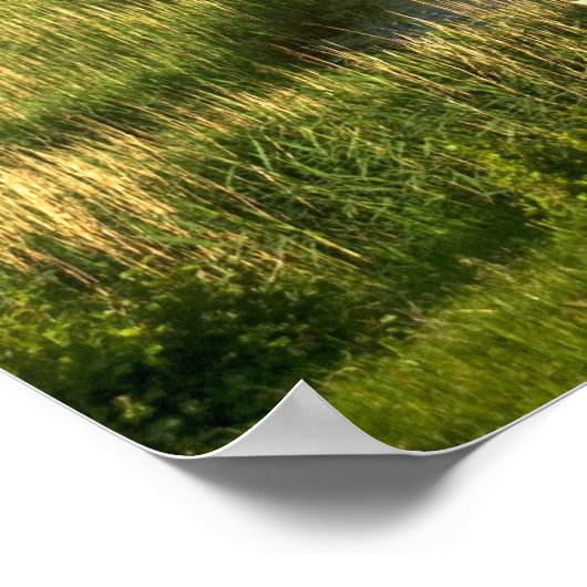 Irish Rainbow Poster (Ecke)